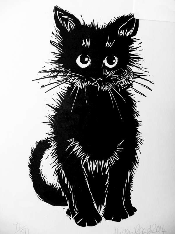 Untitled Kitten